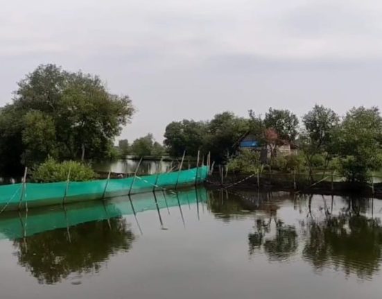 Petambak Ikan di Kabupaten Kendal