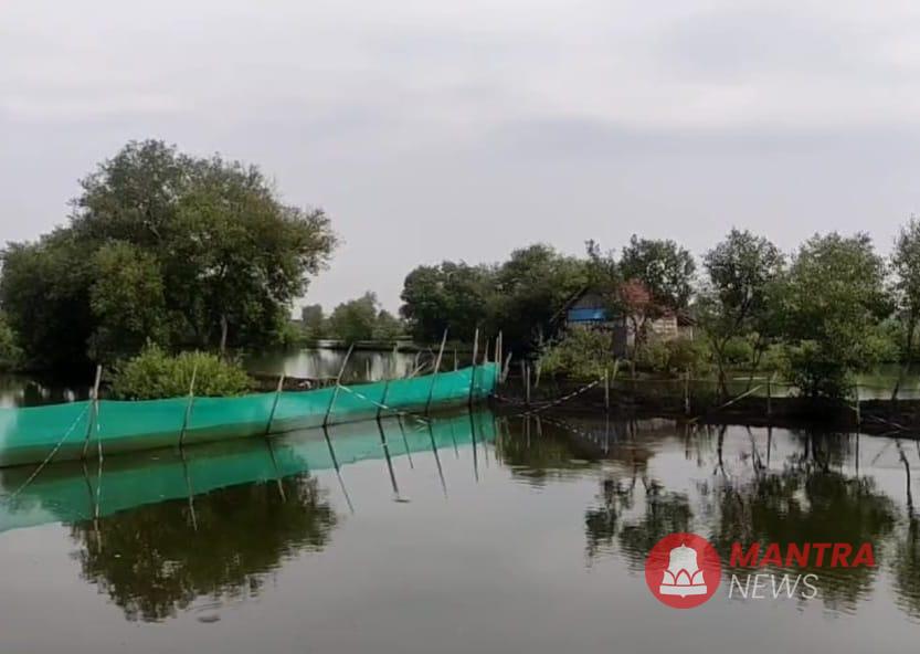Petambak Ikan di Kabupaten Kendal
