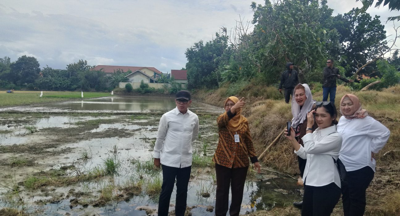 IRIGASI KERING DI SEMARANG