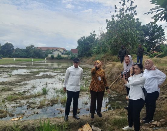 IRIGASI KERING DI SEMARANG