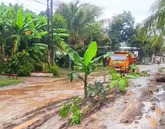Jalan Tayu-Dukuhseti