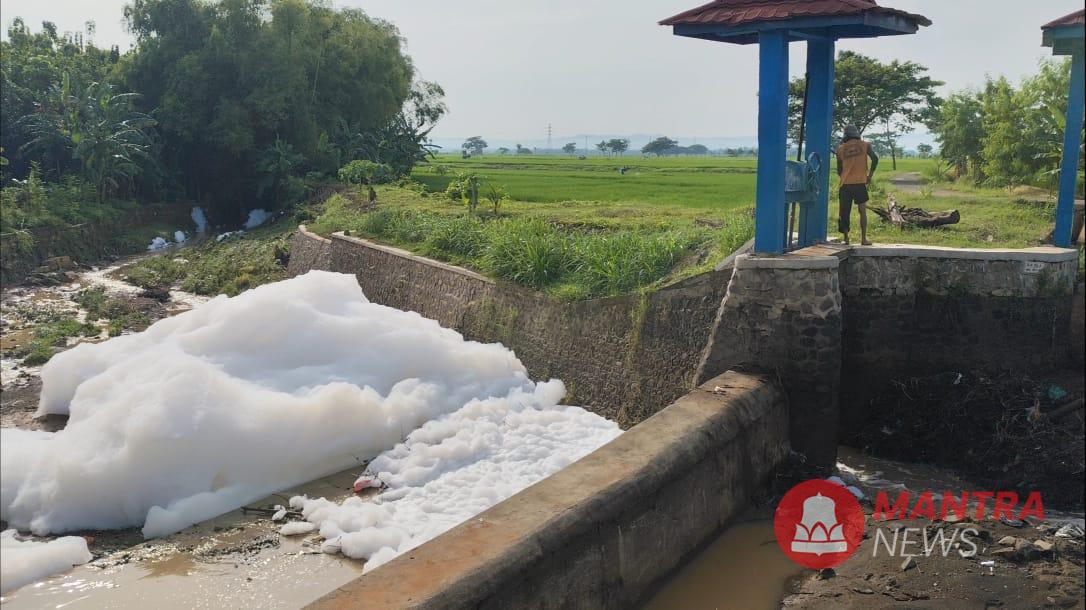 Limbah Busa di Sungai Bibis