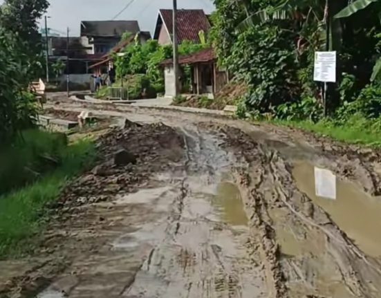 Jalan Desa Sinomwidodo