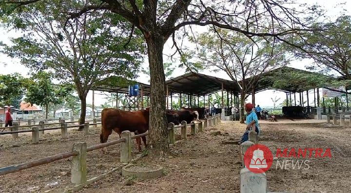 PMK di Kabupaten Pati