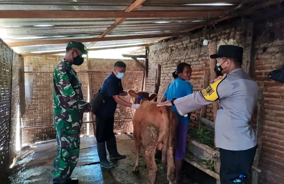 PMK di Kabupaten Pati