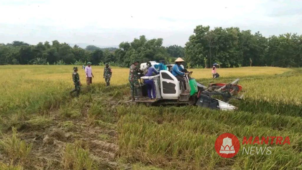 Pemkab Pati Ungkap Alasan HPP Gabah Terbaru Sulit Direalisasikan 2 Pemkab Pati