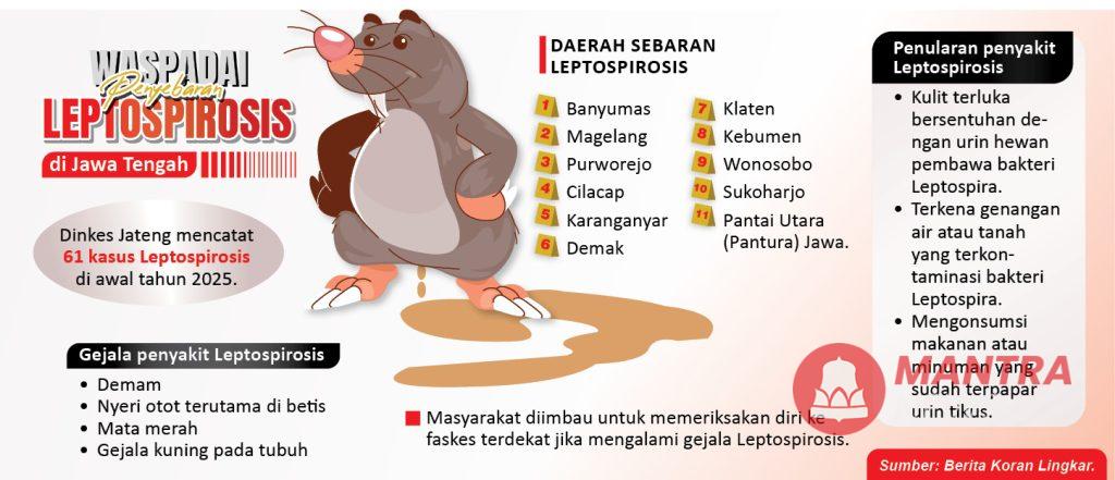 61 Orang di Jateng Terjangkit Leptospirosis, Kenali Gejalanya! 2 Edisi 17 2