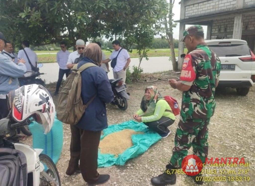 Bulog Pati Targetkan Serap 91.800 Ton Gabah dari Petani Sesuai Instruksi Presiden 2 Bulog Pati