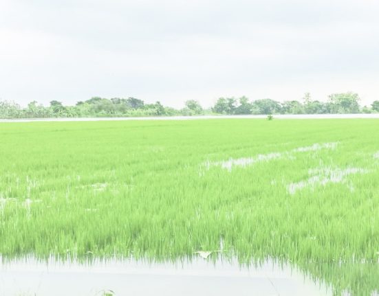 BANJIR