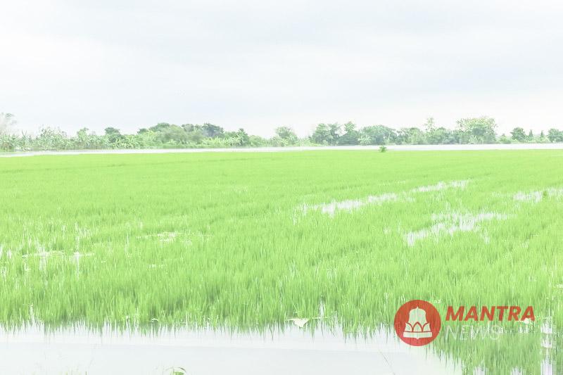 BANJIR