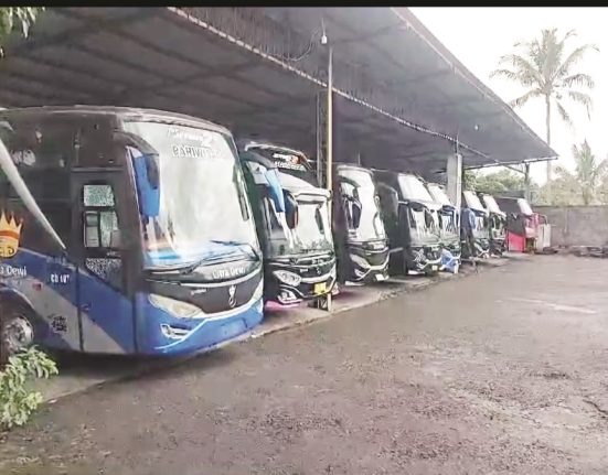Sejumlah armada bus milik PO Citra Dewi, Kecamatan Bandungan, Kabupaten Semarang terparkir rapi lantaran sudah lama tidak beroperasi karena banyak kegiatan yang batal akibat efisiensi anggaran. (Hesty Imaniar | Mantranews.id)