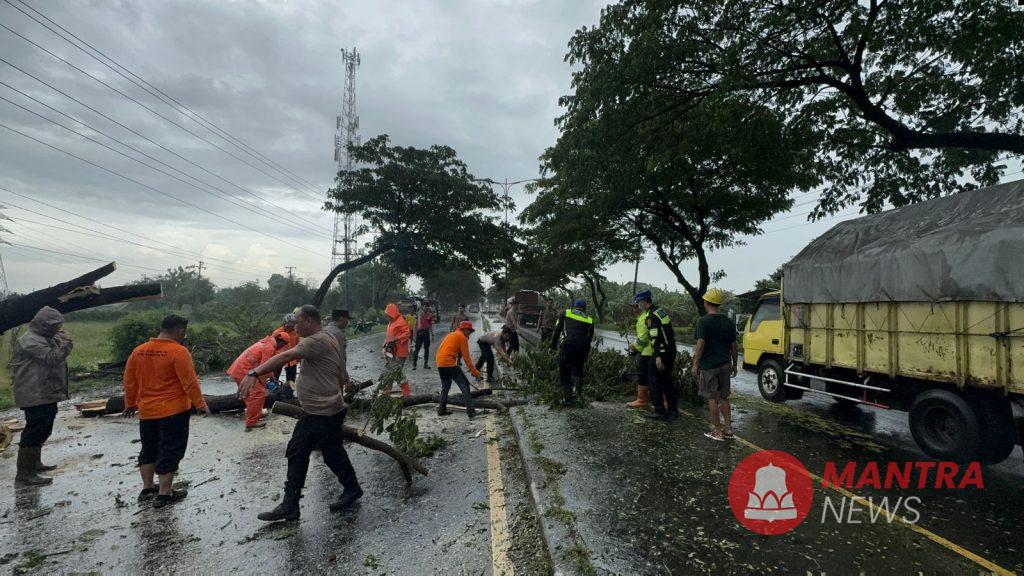 Jalan Lingkar Selatan Pati