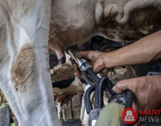 SAPI
