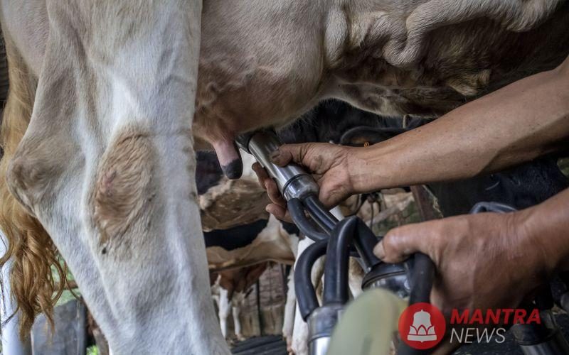 SAPI