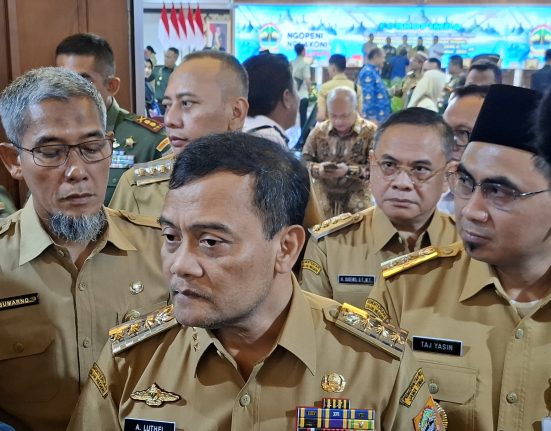 Pemudik