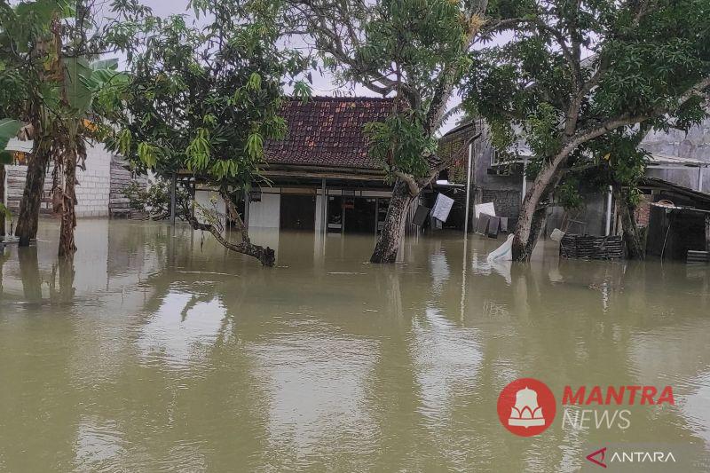 Rumah warga di Kabupaten Grobogan, Jawa Tengah tergenang banjir. (Anta | Mantranews.id)