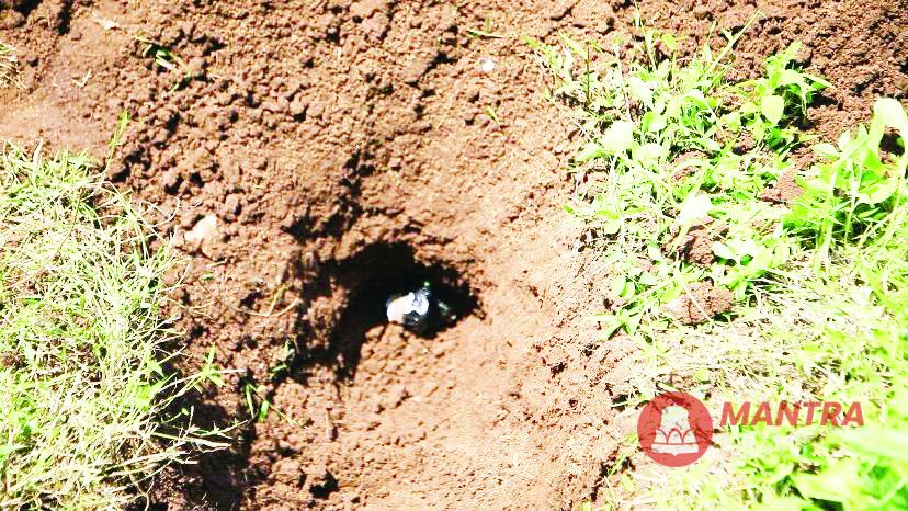 Nampak granat berbentuk nanas yang berada di sebidang lahan di kawasan Kampung Ledok, Kelurahan Ledok, Kecamatan Argomulyo, Kota Salatiga. (DOK. POLRES SALATIGA | Mantranews.id)