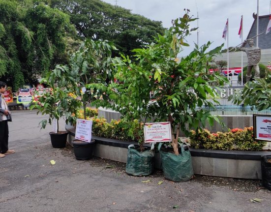 Sejumlah ucapan berupa bibit tanaman tertata di area Pendopo Kabupaten Grobogan, Jawa Tengah. (Ahmad Abror | Mantranews.id)