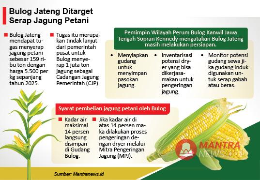 Bulog Jateng Ditarget Serap 159 Ribu Ton Jagung Petani 2 Jagung