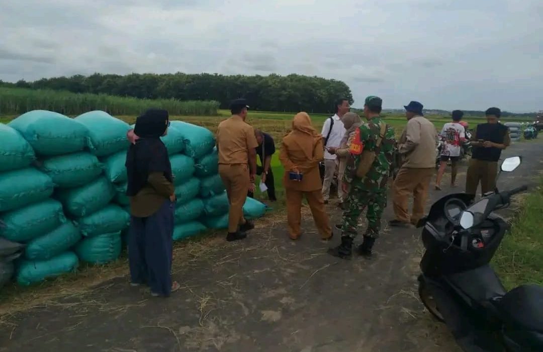Beras di Kabupaten Pati