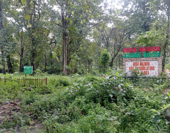 Semak belukar tampak tumbuh di sekitar taman wisata Kedung Kotos milik Desa Ngliron, Kecamatan Randublatung, Blora, Rabu (16/4). (Dok. Pribadi for Mantranews.id)