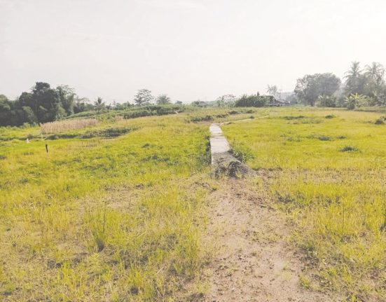 Hamparan lahan di wilayah Sidorejo, Salatiga yang dulunya merupakan lahan produktif kini terlihat mangkrak, Selasa (22/4/2025). (Angga Rosa | Mantranews.id)