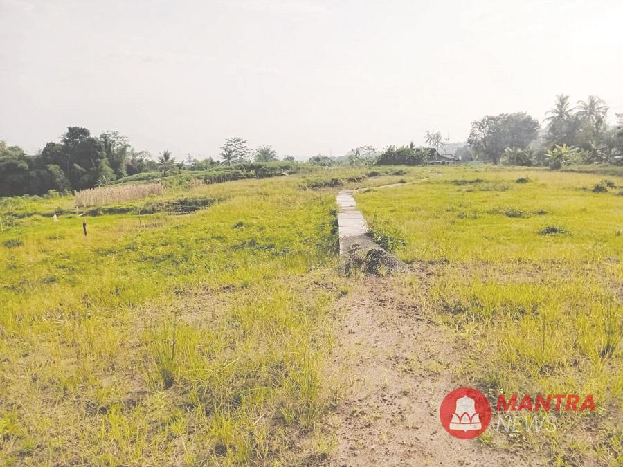 Hamparan lahan di wilayah Sidorejo, Salatiga yang dulunya merupakan lahan produktif kini terlihat mangkrak, Selasa (22/4/2025). (Angga Rosa | Mantranews.id)