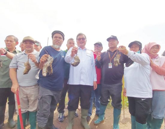 Bupati Semarang Ngesti Nugraha (ketiga dari kiri), Wakil Bupati Semarang Nur Arifah (ketiga dari kanan) bersama jajaran forkopimda dan pemprov Jateng ikut kegiatan Gerdal Hama Tikus di Kecamatan Banyubiru, Kabupaten Semarang, Minggu (20/4). (Hesty Imaniar | Mantranews.id)