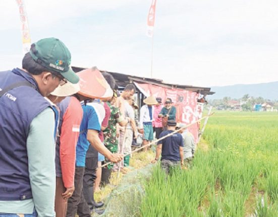 Berbagai unsur sedang menengok penangkapan hama tikus di Kecamatan Banyubiru, Kabupaten Semarang, Minggu (20/4). (Hesty Imaniar | Mantranews.id)