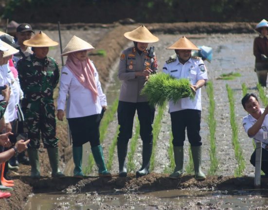 Bupati Semarang hendak menanam padi bersama jajaran Forkopimda Kabupaten Semarang di Desa/Kecamatan Jambu, Kabupaten Semarang, beberapa waktu lalu. (Diskominfo Kab. Semarang/Mantranews.id)