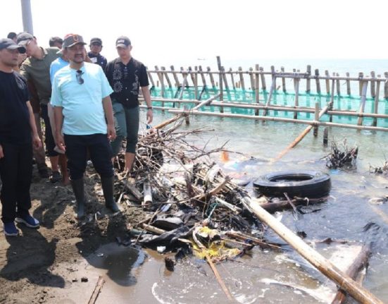 Gubernur Jawa Tengah Ahmad Luthfi sedang meninjau dampak abrasi di tanggul Kandang Jangkrikr, Pantai Kramatsari, Desa Blendung, Kecamatan Ulujami, Kabupaten Pemalang, Jawa Tengah, belum lama ini. (Anta | Mantranews.id)