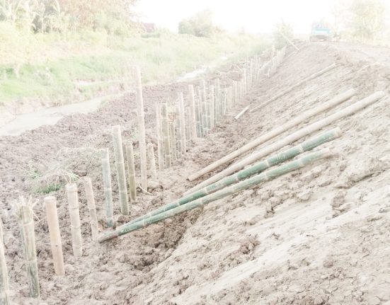 Kondisi Tanggul Sungai Renggong di Desa Tanggirejo, Kecamatan Tegowanu, Grobogan, yang masih dalam proses pengerjaan. (Ahmad Abror | Mantranews.id)