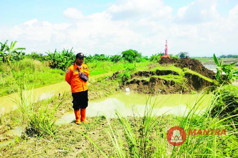 Kondisi terkini tanggul Sungai Rengging di Desa Sukorejo, Kabupaten Grobogan, Jawa Tengah, yang jebol karena tidak mampu menahan tingginya debit air sungai. (Anta | Mantranews.id)