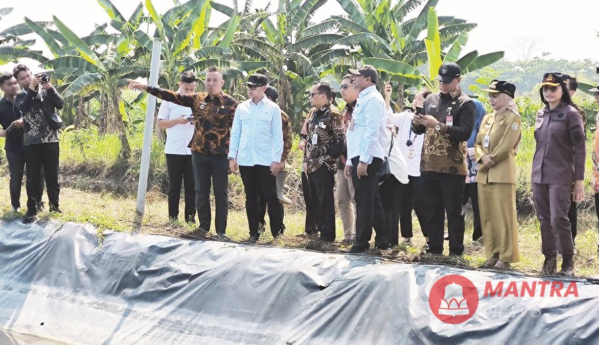 Wakil Menteri Dalam Negeri RI Bima Arya beserta jajaran didampingi Bupati Kendal Dyah Kartika Permanasari beserta jajaran saat meninjau lokasi tambak di Desa Margorejo, Kecamatan Cepiring, Kabupaten Kendal, Jawa Tengah, beberapa waktu lalu. (Arvian Maulana | Mantranews.id