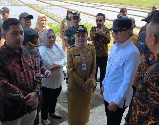 Wamendagri Bima Arya (kemeja putih, topi hitam) bersama Bupati Kendal Dyah Kartika Permanasari meninjau unit usaha di Desa Margorejo, Kecamatan Cepiring, Kabupaten Kendal, Jawa Tengah, Selasa (6/5/2025). (Arvian Maulana | Mantranews.id)