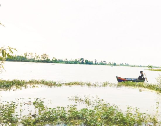 Nampak hamparan sawah di Kecamatan Bonang, Demak yang tergenang air. (M. Burhan | Mantranews.id)