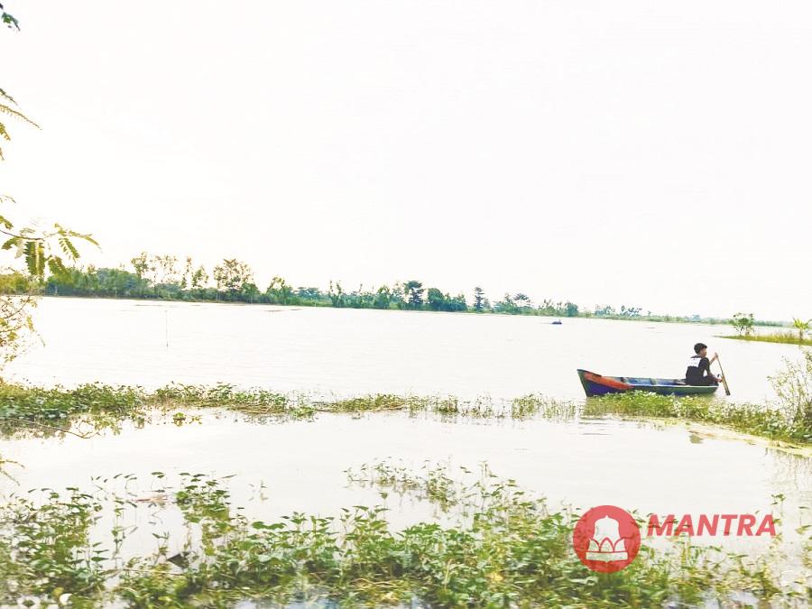 Nampak hamparan sawah di Kecamatan Bonang, Demak yang tergenang air. (M. Burhan | Mantranews.id)