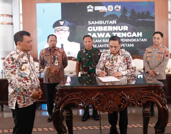 Petani