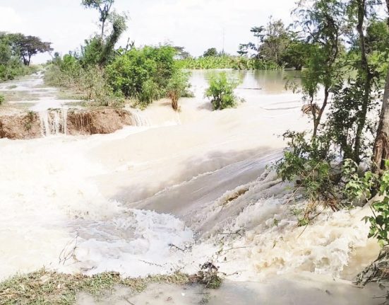 Derasnya air dari Sungai Tuntang, Kabupaten Demak menyebabkan salah satu titik tanggul jebol, Minggu (18/5/2025). (M. Burhan A | Mantranews.id)