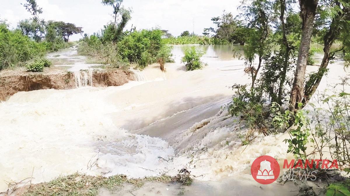 Derasnya air dari Sungai Tuntang, Kabupaten Demak menyebabkan salah satu titik tanggul jebol, Minggu (18/5/2025). (M. Burhan A | Mantranews.id)