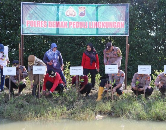 Sejumlah stakeholder menanam bibit mangrove di pesisi Desa Tambakbulusan, Kecamatan Karangtengah, Kabupaten Demak, Senin (12/5/2025). (M. Burhan A. | Mantranews.id)