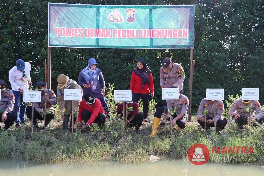 Sejumlah stakeholder menanam bibit mangrove di pesisi Desa Tambakbulusan, Kecamatan Karangtengah, Kabupaten Demak, Senin (12/5/2025). (M. Burhan A. | Mantranews.id)