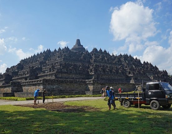 Pekerja menanam rumput saat membersihkan areal zona 2 kawasan Taman Wisata Candi Borobudur, Magelang, Jawa Tengah, Selasa (29/4/2025). (Anta | Mantranews.id)
