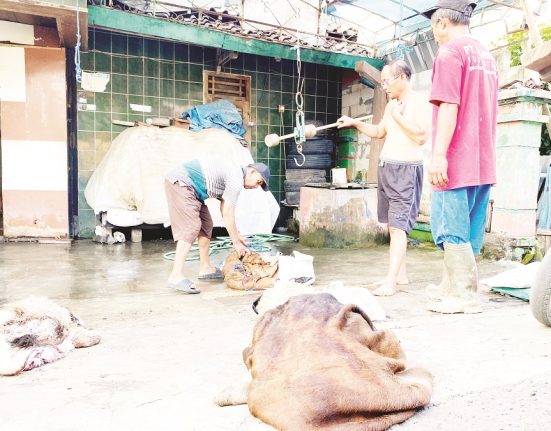 Pengepul kulit di salah satu wilayah Kabupaten Blora saat sedang bertransaksi dengan pembeli, baru-baru ini. (Dok. Pribdo | Mantranews.id)
