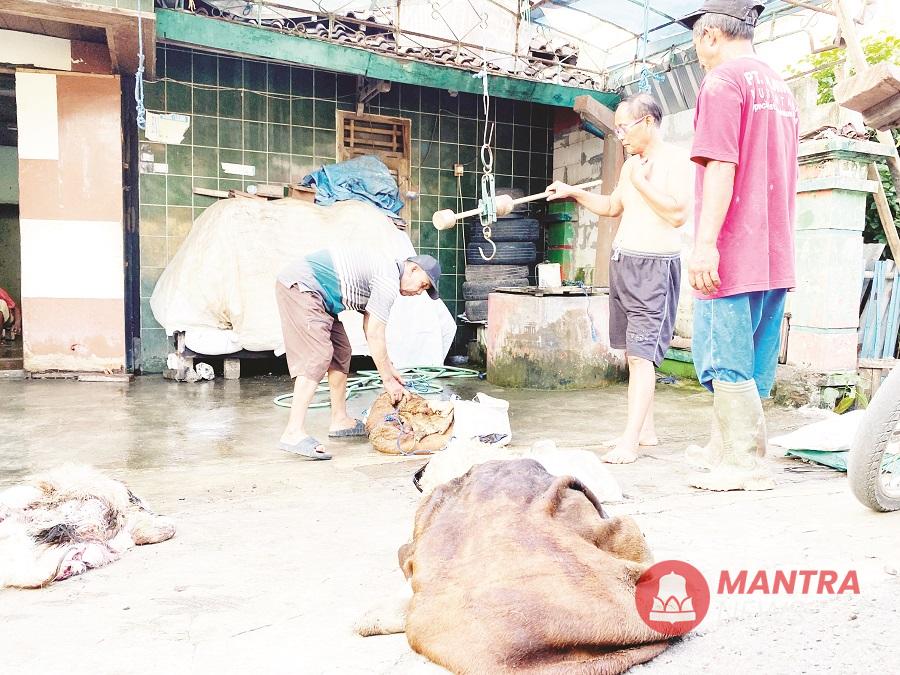 Pengepul kulit di salah satu wilayah Kabupaten Blora saat sedang bertransaksi dengan pembeli, baru-baru ini. (Dok. Pribdo | Mantranews.id)