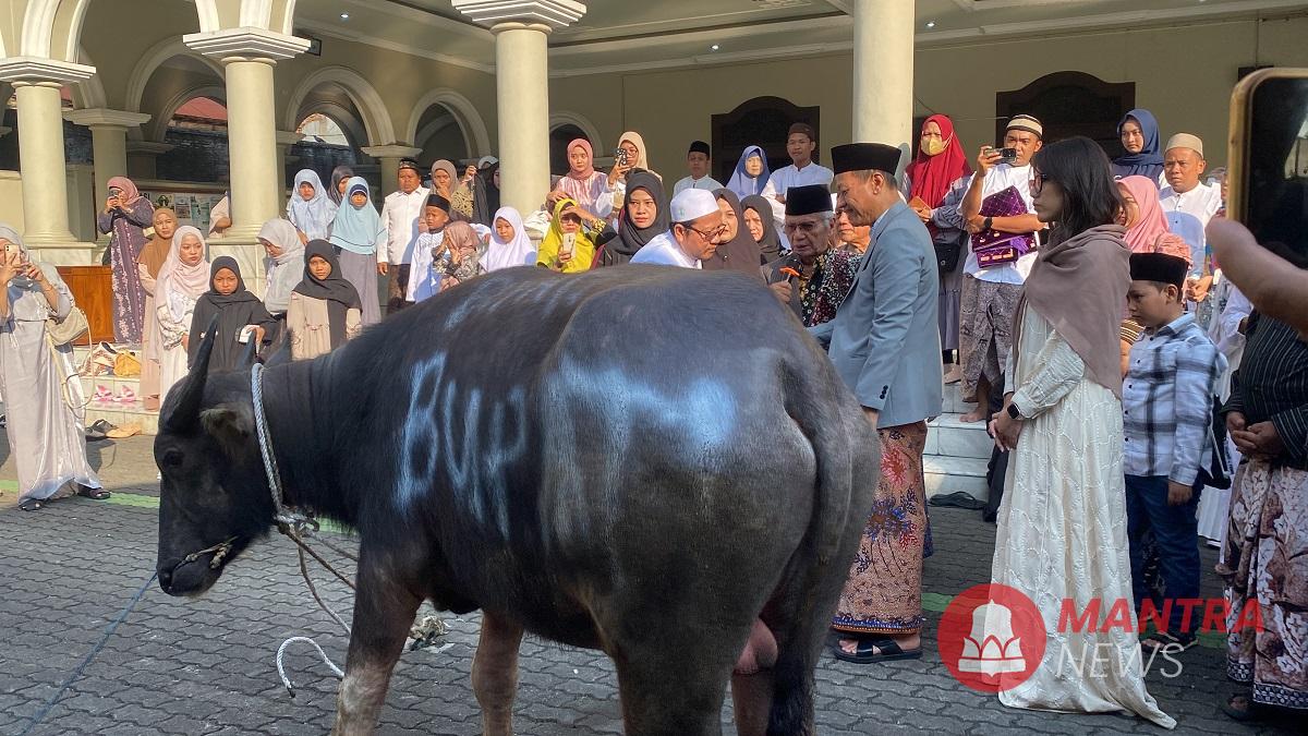 Bupati Kudus Sam’ani Intakoris didampingi Wakil Bupati Kudus Bellinda Putri Sabrina Birton, saat menyerahkan hewan kerbau untuk Masyarakat Kudus pada Jumat (6/6/2025) di Masjid Agung Kudus.