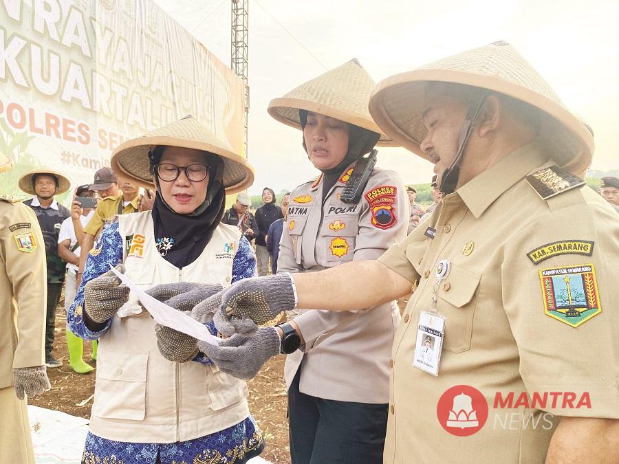 Bupati Semarang bersama Kapolres Semarang dan Kepala BPS Kabupaten Semarang bersiap melakukan Panen Raya Kuartal II Tanaman Jagung di Kelurahan Ngobo, Kecamatan Bergas, Kabupaten Semarang, Minggu (8/6/2025). (Dok. Pribadi | Mantranews.id)
