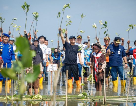 Gubernur Jawa Tengah Ahmad Luthfi didampingi Wakil Gubernur Jawa Tengah Taj Yasin dan peserta tanam mangrove ikut menyukseskan program “Mageri Segoro” di Pantai Randusanga di Desa Randusanga Kulon, Kecamatan/Kabupaten Brebes, Jawa Tengah, pada Kamis (5/6/2025). (Dok. Pemprov Jateng | Mantranews.id)