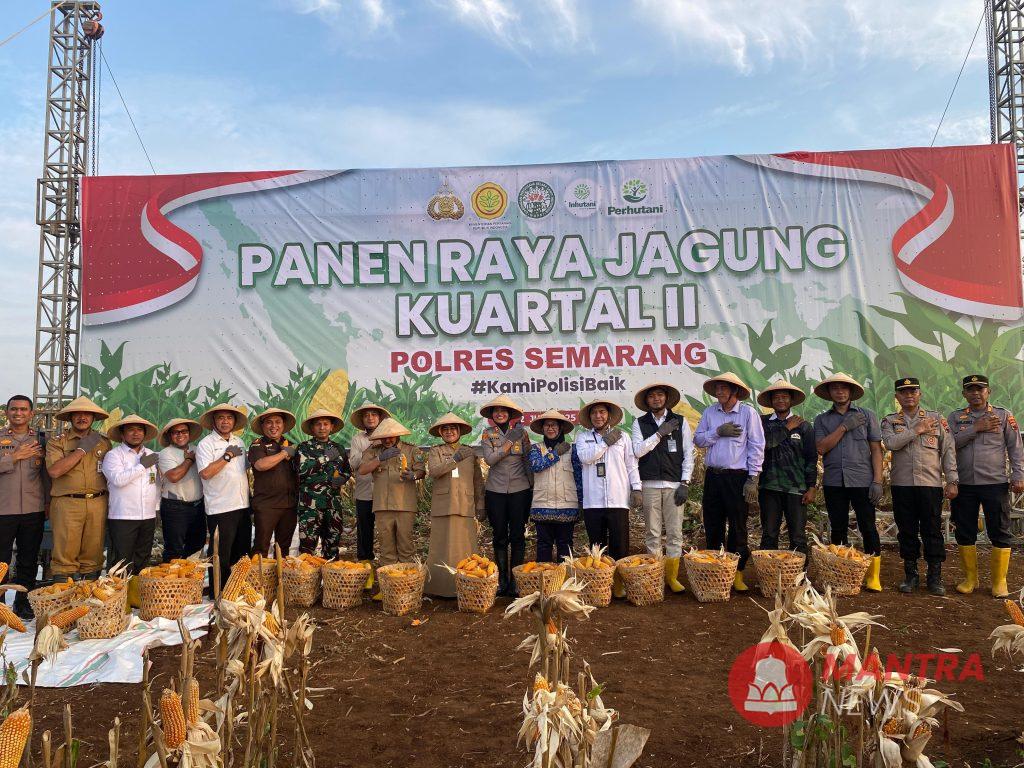 Panen Raya Jagung Kabupaten Semarang Gemilang: Catatkan Surplus Fantastis 44.000 Ton! 2 IMG 20250608 WA0036