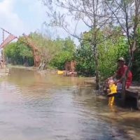 Mina Mangrove